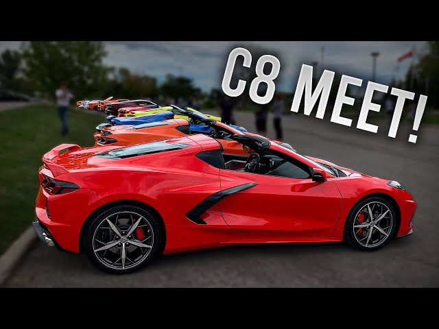 Massive Corvette C8 Meet! BEAUTIFUL Colors & Options!