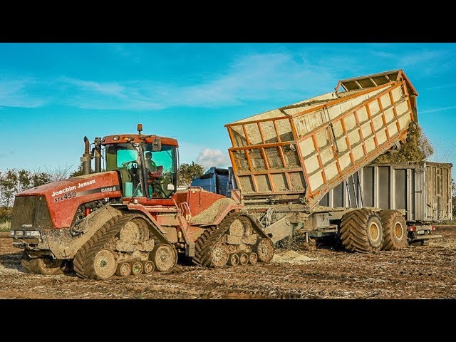 Chopping maize with CASE IH Quadtrac and JCB Fastrac | New Holland Forage Harvester