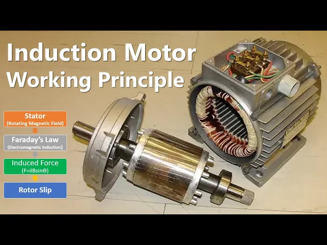 3 Phase Induction Motor Working Principle | How Induction Motor Works