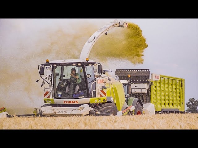 Chopping grain | Fendt tractors | Claas Jaguar forage harvester