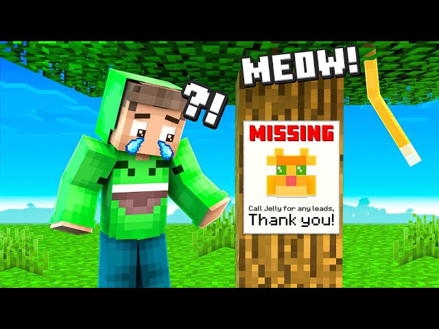 Looking For My Lost CAT On Squid Island… (Minecraft)