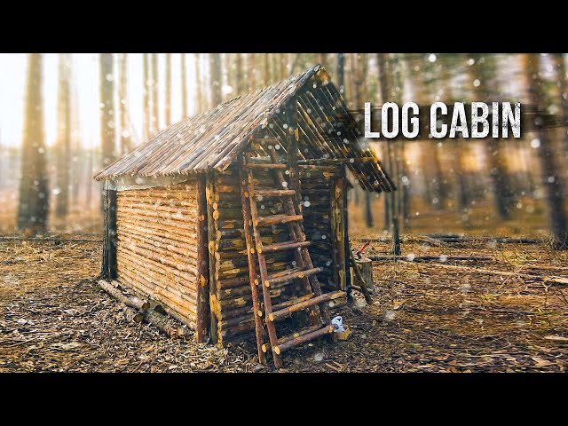 Building a hut in harsh weather conditions. Laying the roof. Part 8.