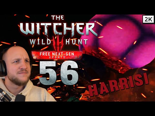 Lets Play The Witcher 3: Wild Hunt Remastered (Deutsch) [2K] #56 - Gerald der Langfinger