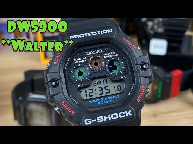 G-Shock dw5900 “Walter”