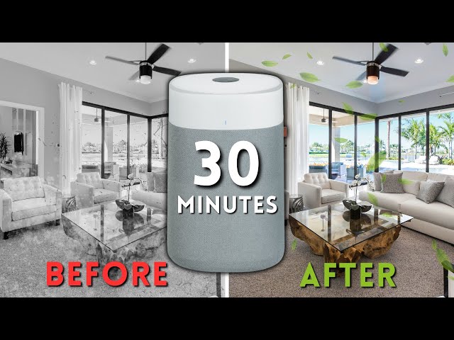 Best Air Purifier in 2024 - Watch This Before You Buy One!