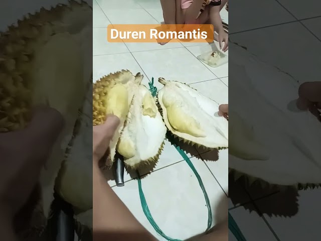 Belah Duren Romantis