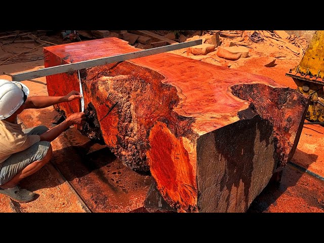 Wood Cutting Skills // Diamonds Inside The Most Expensive Tree In The World