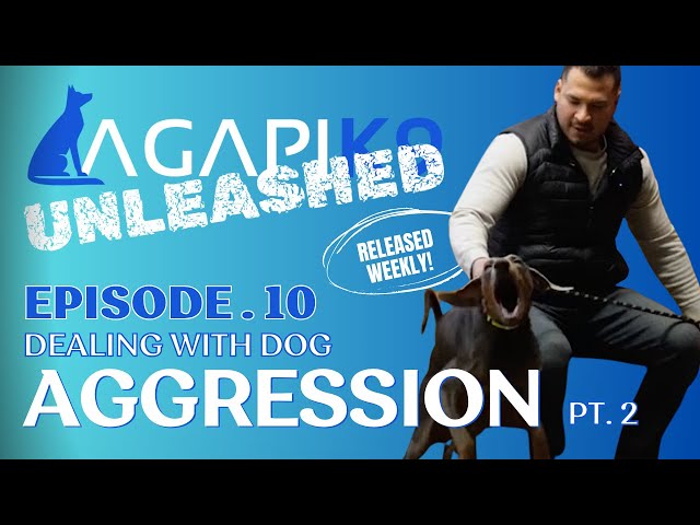 AGAPIK9 UNLEASHED EPISODE 10 - DEALING WITH AGGRESSION PT 2