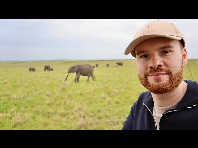Ultimate African Safari at the Maasai Mara, Kenya 🇰🇪