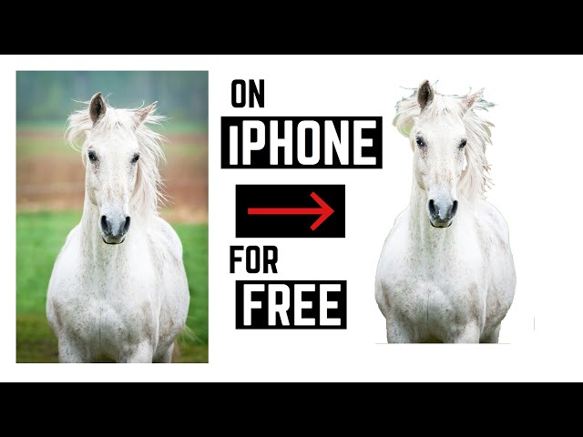 HOW TO REMOVE BACKGROUND FROM PHOTOS ON iPHONE - PROKNOCKOUT - 2017