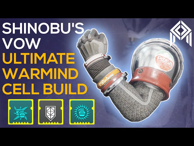 Shinobu's Vow Warmind Cell Build - UNLIMITED Skip Grenades - Lightning Strikes Twice - Destiny 2