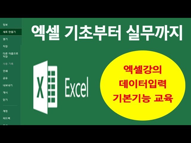 MS 엑셀 기본적인 사용법 기능 배우기[종합편]