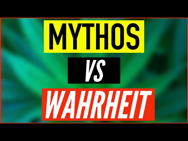 SPÜLEN VOR DER ERNTE - MYTHOS VS WAHRHEIT - HÖHERER ERTRAG UND DICKERE BLÜTEN?