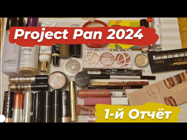 Project Pan 2024 // 1-й Отчёт 🩷