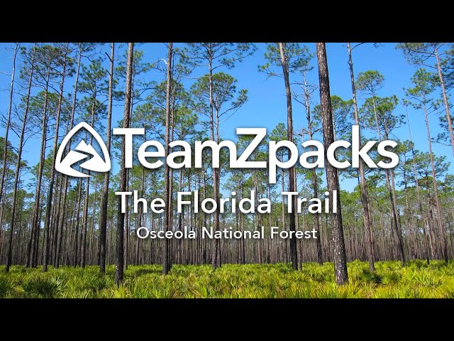 The Florida Trail - Osceola NF Section Hike w/ Zpacks