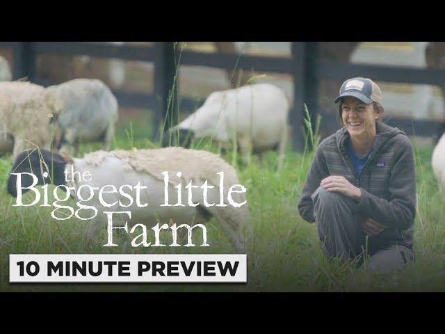 The Biggest Little Farm | 10 Minute Preview | Own it now on Blu-ray, DVD & Digital