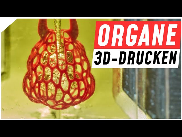 Kann ich mein Herz im 3D-Drucker drucken? | Bio-Printing für Organspenden | Breaking Lab