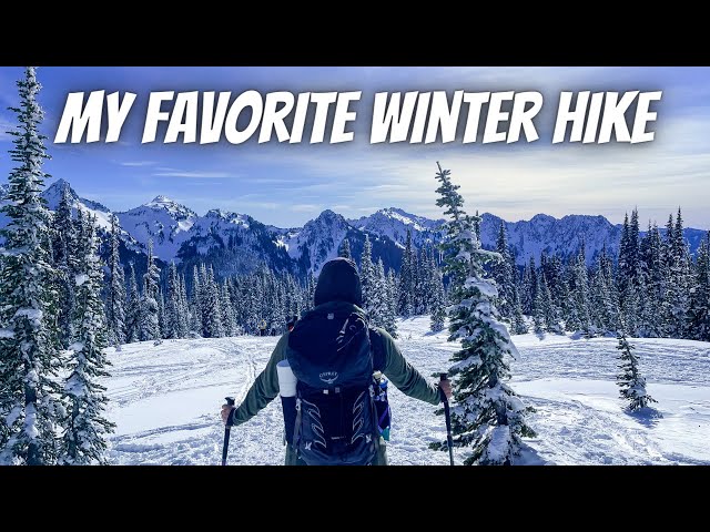 My FAVORITE Winter Hike in Washington | Snowshoeing in Mount Rainier National Park