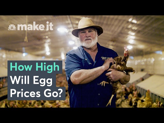Why Egg Prices Are So High In The U.S.