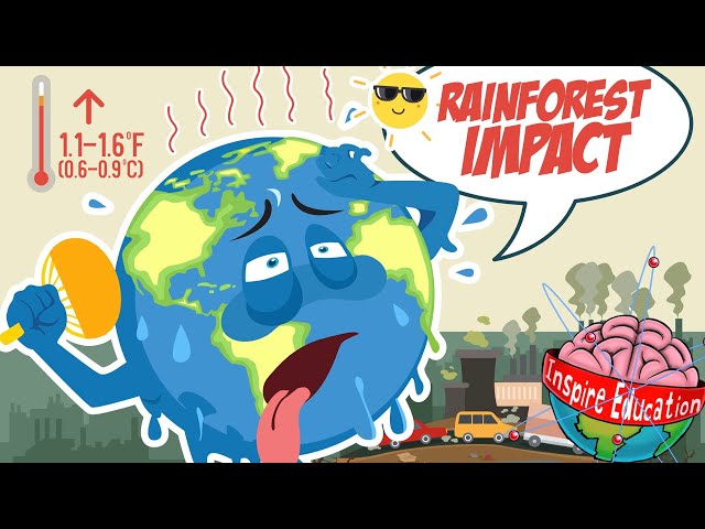 What are the effects climate change has on the rainforests?