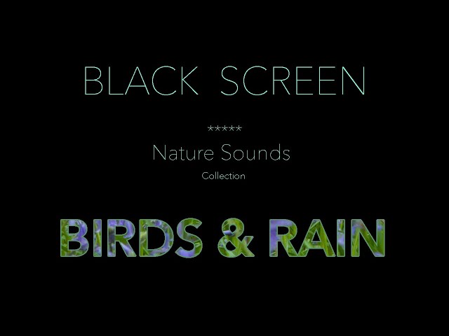 Relaxing Nature Sounds-Birdsong & Rain Sounds for Sleeping Black Screen - Calming Water Ambience