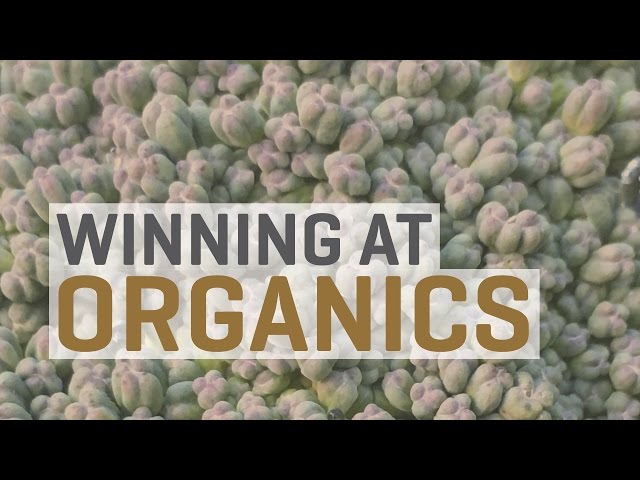 Winning at Organics—Growing Heavy Feeders to Full Potential
