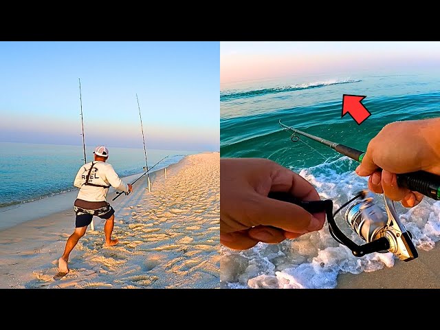 Chasing Down FISH at the BEACH! **Multiple Species Blowing Up**