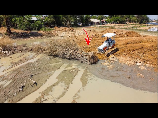 Good Job!! Small Bulldozer Pushing Filling land into Pond mud.