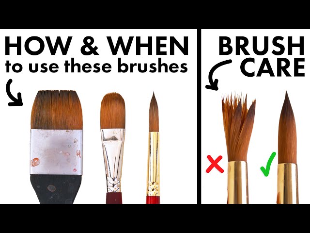 The Beginner's Guide to Watercolor Brushes