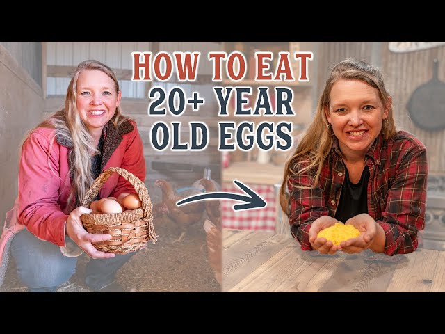 How I Store Eggs for 20+ years (no canning required!!)