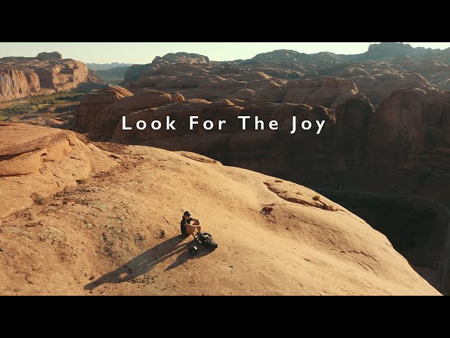 Look For The Joy | Steph Davis