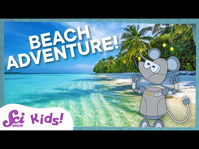 Using Our Senses to Explore the Beach! | Science at the Beach! | SciShow Kids