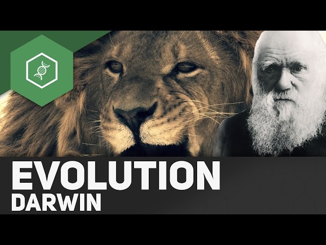 Evolutionstheorie von Charles Darwin