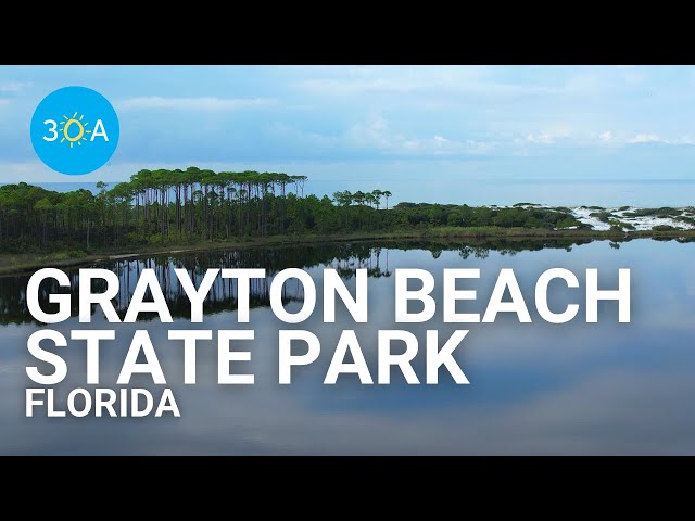 Grayton Beach State Park, South Walton, Florida