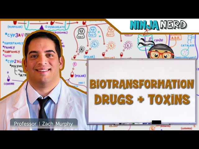 Gastrointestinal | Biotransformation of Drugs and Toxins