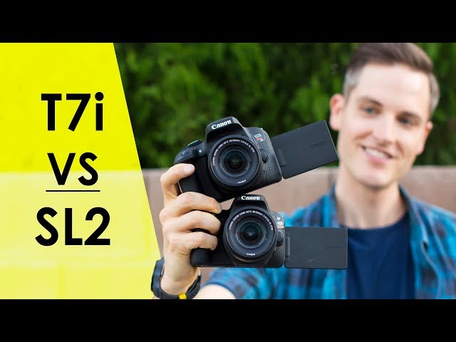 Canon SL2 vs. Canon T7i for Video? — Review and Video Test