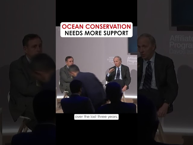 Ocean Conservation Needs More Support