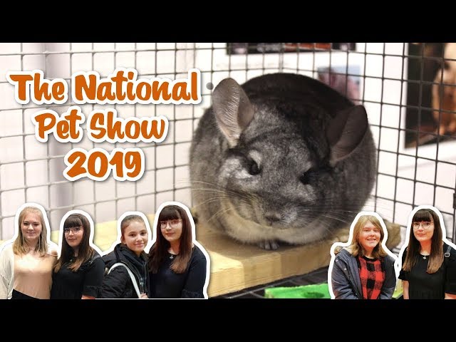 I WENT TO THE NATIONAL PET SHOW! MEETING MY VIEWERS FOR THE FIRST TIME