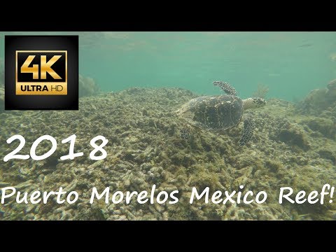 Travel Mexico