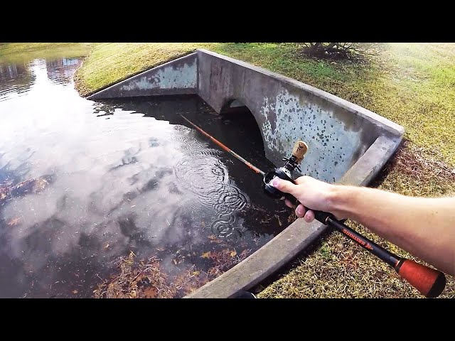 Fishing a FLOODED RETENTION POND for BIG BITES!!