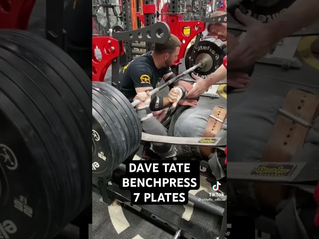 7 PLATE BENCH PRESS With Dave Tate #elitefts #benchpress #lifting