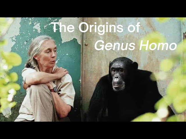 The Origins of Genus Homo