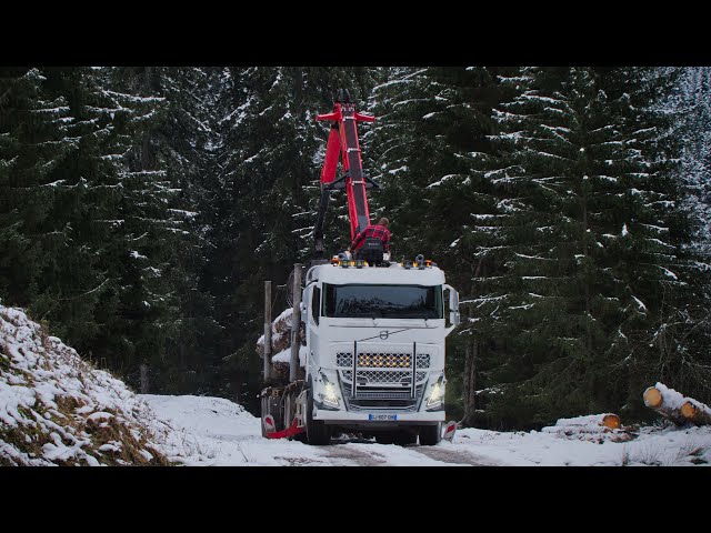 Le Nouveau Grumier des Transports Gervais en Montagne - Volvo FH16 650
