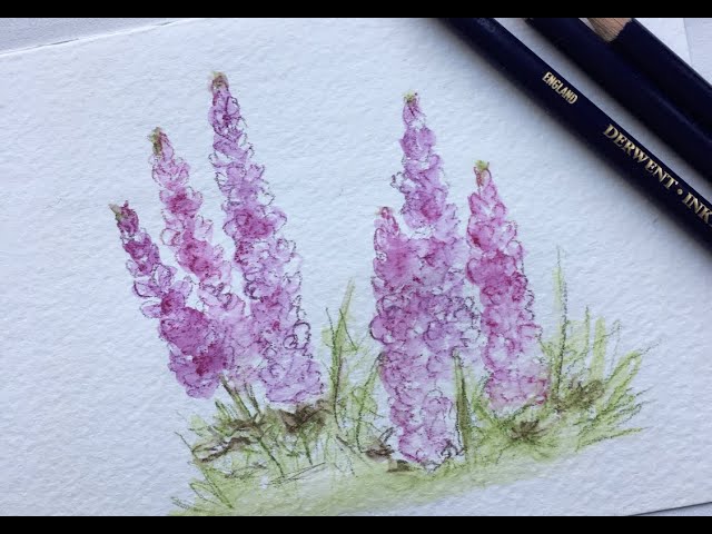 LIVE watercolor painting - Lupine Card for Mom