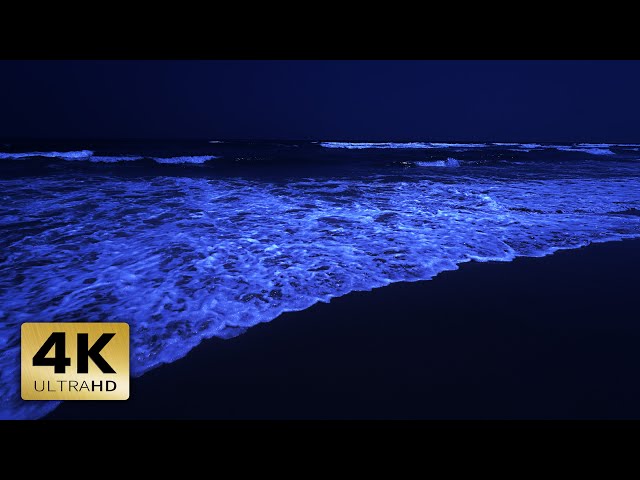 Ocean Sounds For Deep Sleep | Fall Asleep Instantly with Ocean Wave Sounds at Night [4K Dark Screen]