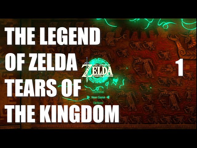 The Legend of Zelda Tears of the Kingdom Gameplay Walkthrough Part 1 Clueless Kids Cause Catastrophe