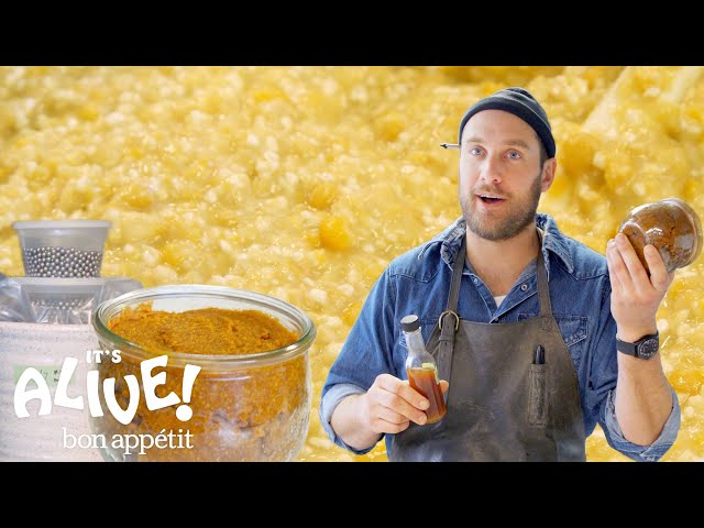 Brad Makes Miso Paste | It's Alive | Bon Appétit