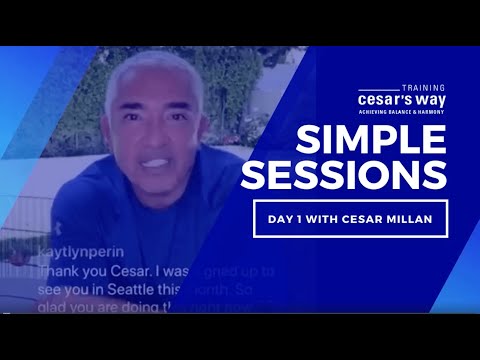 Training Cesar's Way: Simple Sessions