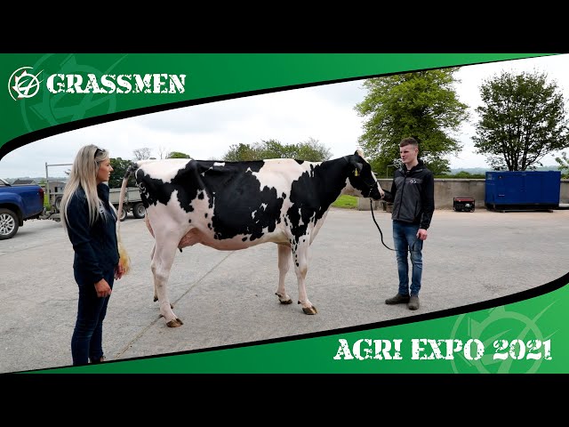 DAMM HOLSTEINS - GRASSMEN AGRI EXPO DAY 4