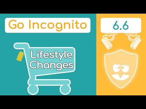 Lifestyle Changes for Privacy & Security | Go Incognito 6.6